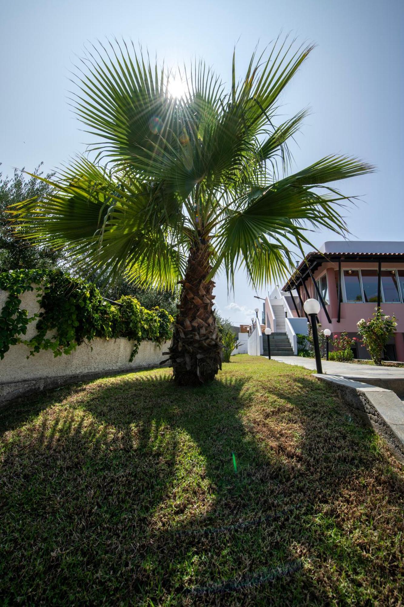 Villa Eleni 100M From The Sea Rapanianá Zewnętrze zdjęcie